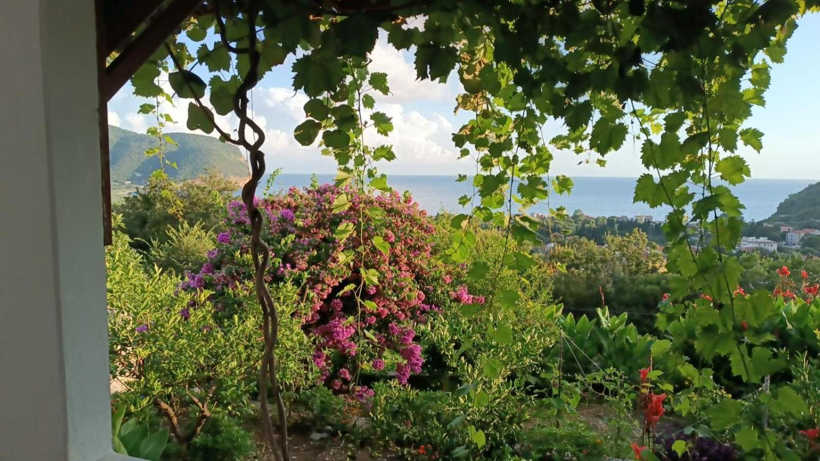 Vila Pogled Petrovac Exterior foto