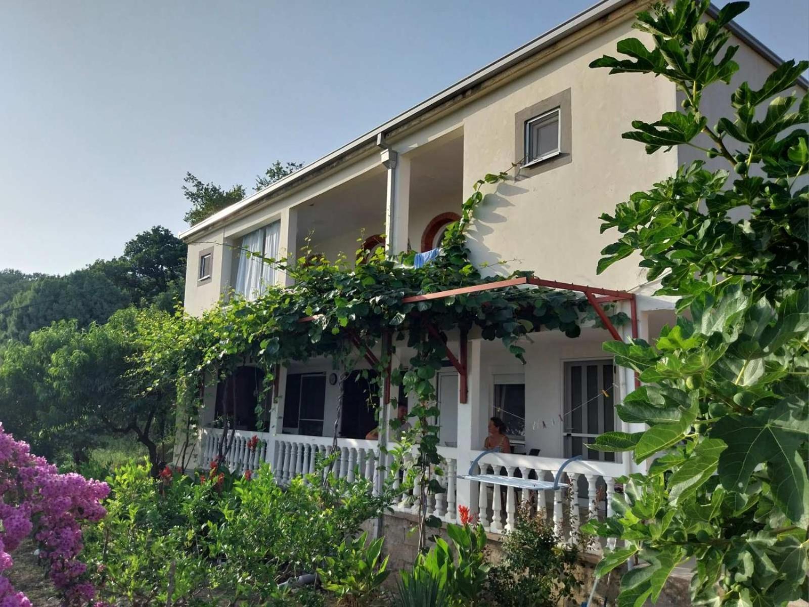 Vila Pogled Petrovac Exterior foto