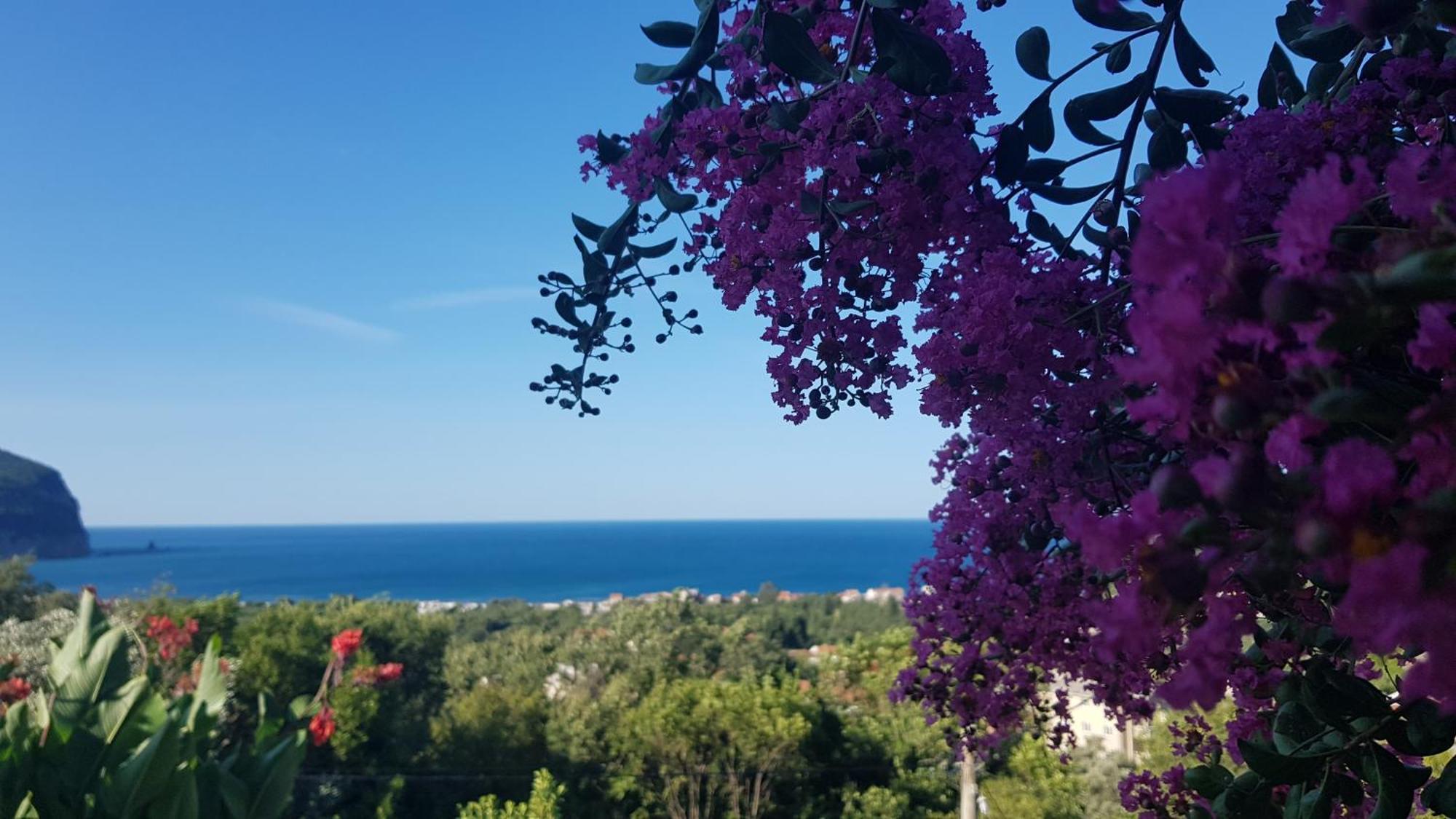 Vila Pogled Petrovac Exterior foto